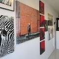 Moonfish Bay Gallery - Original  Blend Show