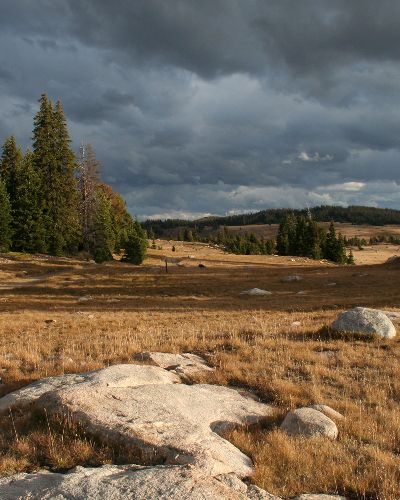 Montana sky